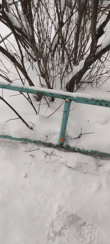 IMG 20231214 161721.jpg