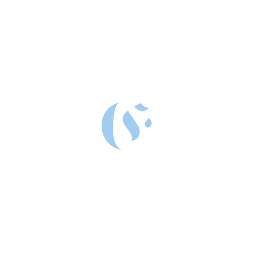 New Project.png