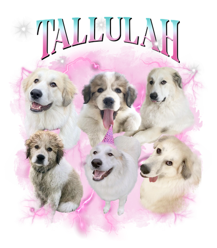 tallulah.png