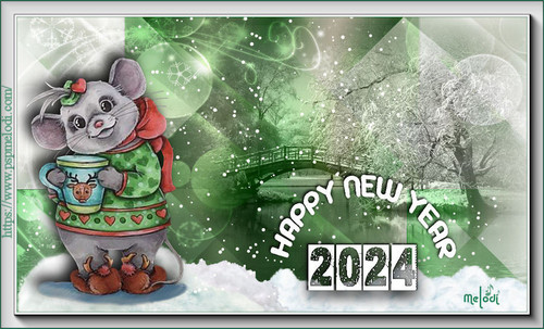 AYNUR HNY 2024.jpg