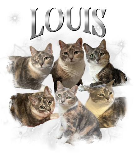 louis.png