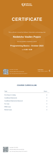 Programming Basics October 2023 Certificate.png