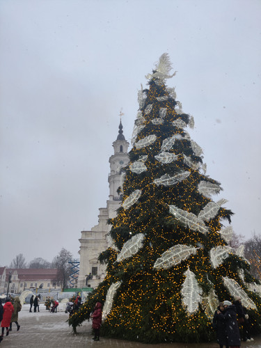 IMG 20231214 144949.jpg