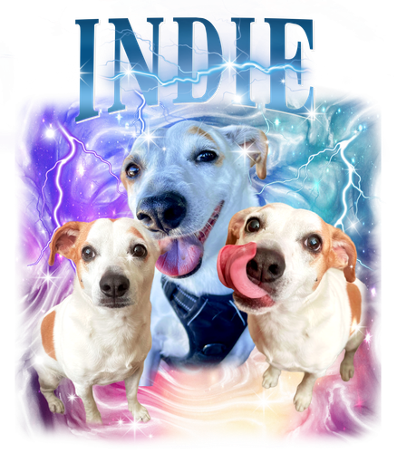 3145536330 INDIE + 6 +f1.png