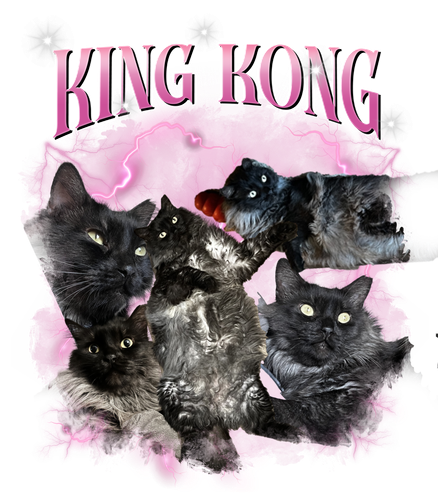king kong.png