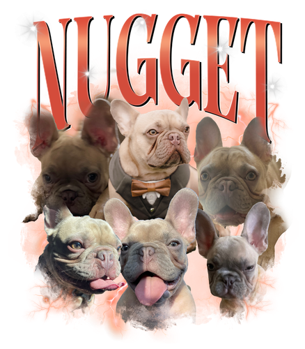 NUGGET.png