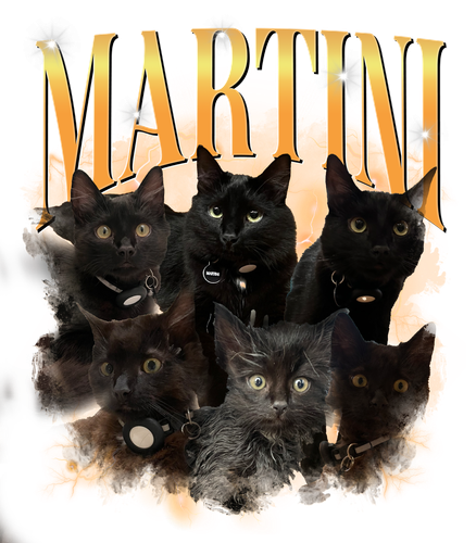 MARTINI.png