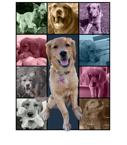 Rosie’s Version (4200x4800).png