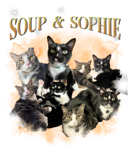 soup and sophie.png