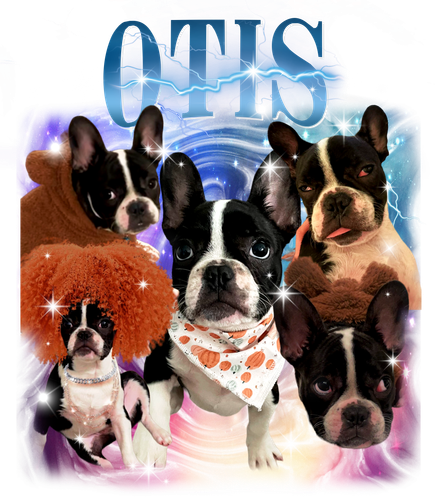 3136599533 Otis BLUE + 1.png