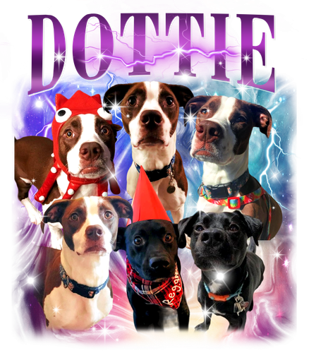 3136517051 Dottie 9 PURPLE F1.png