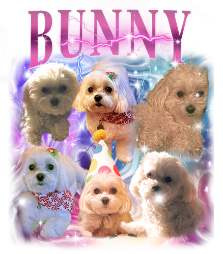 3136587009 BUNNY 1 PINK + F1.png