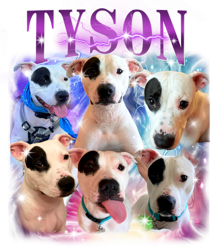 3136511293 Tyson 9 PURPLE + F1.png