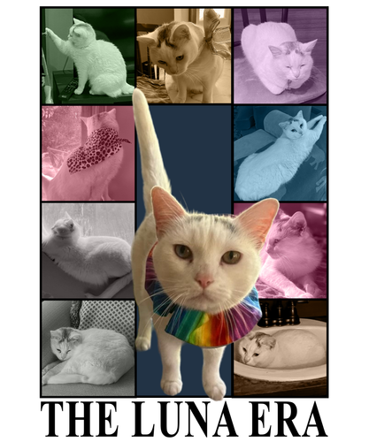 The Luna Era.png