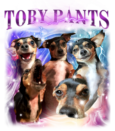 3144873846 Toby Pants purple + f1.png