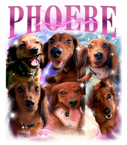 3144700350 Phoebe pinktan f1.png