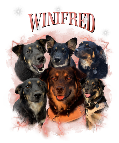 winifred.png