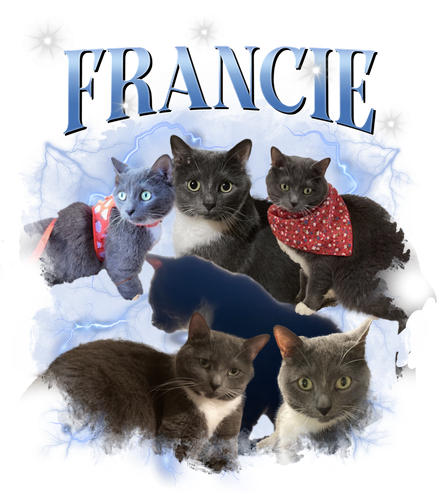 francie.png