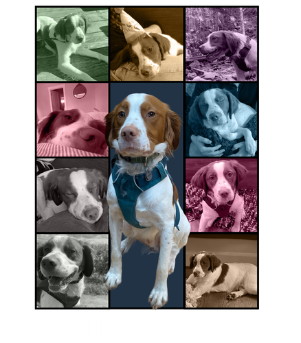 REMI'S VERSION (4200x4800).png
