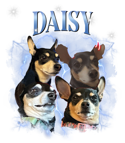 daisy.png