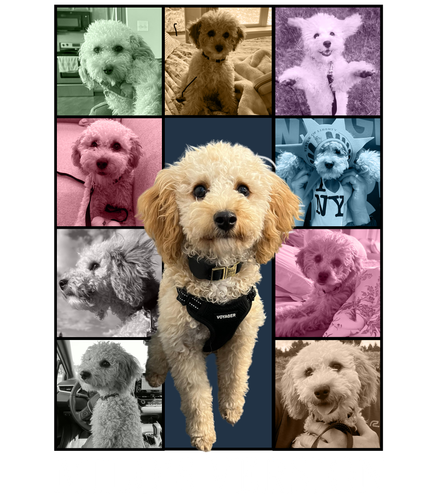 MILO'S VERSION (4200x4800).png