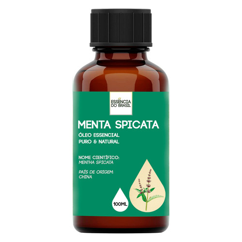 MENTA SPICATA 100.jpg