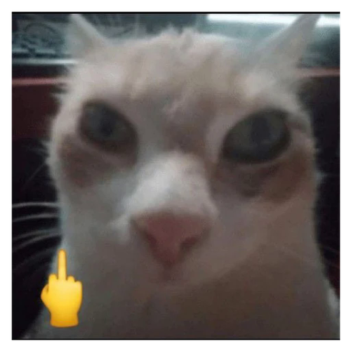 8844.png