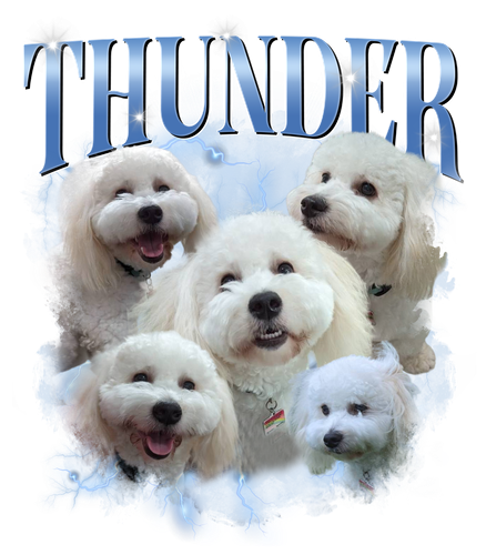thunder04.png