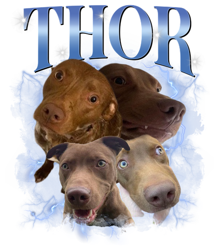 Thor.png