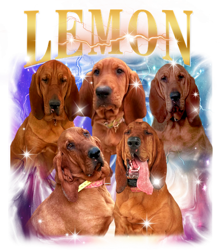 3134834259 2 Lemon 3 + f1.png