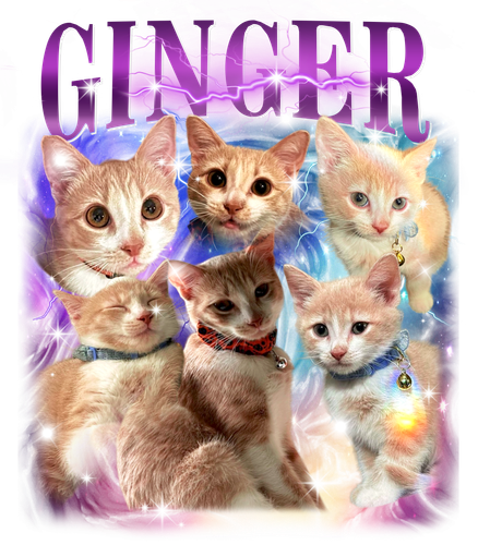 3144901366 Ginger 9 f1.png