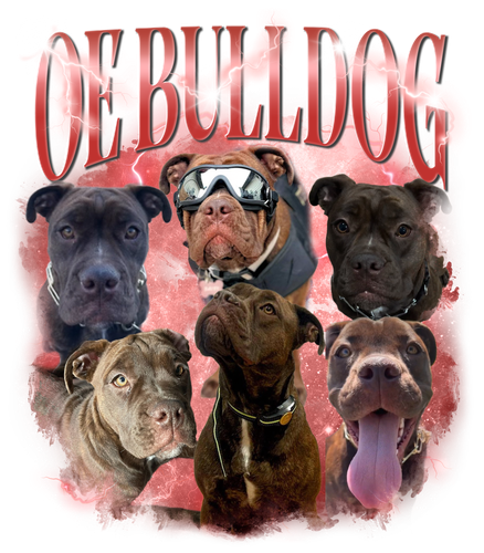 OE Bulldogre 3131513894.png