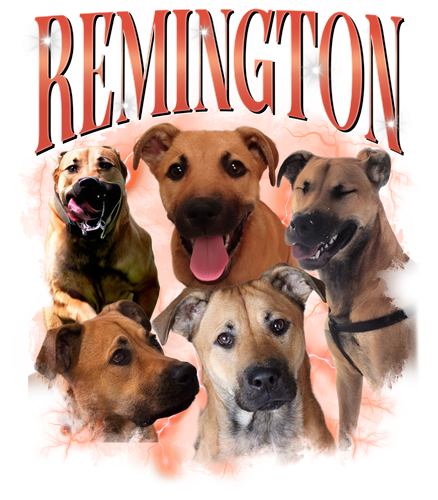 REMINGTON 3138588520.png