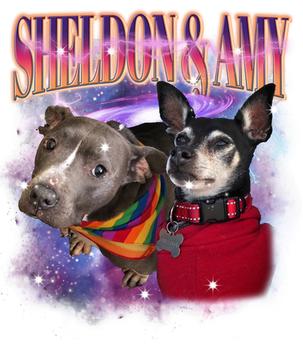 3145712470.png