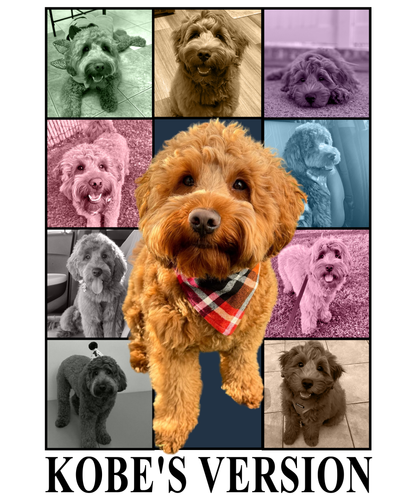 KOBE'S VERSION.png