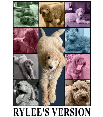 Rylee's Version (4200x4800).png