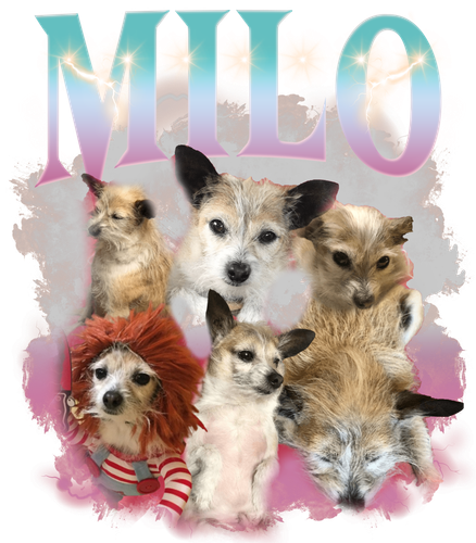 Milo.png