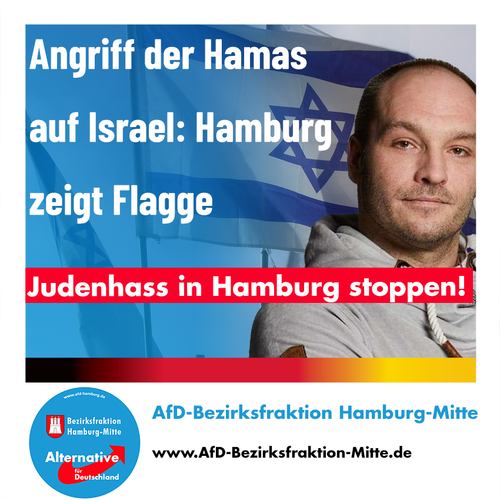AfD Bezirksfraktion Hamburg Mitte 5.png