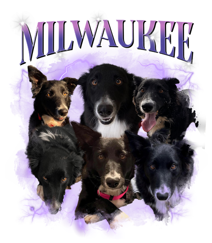 milwaukee.png