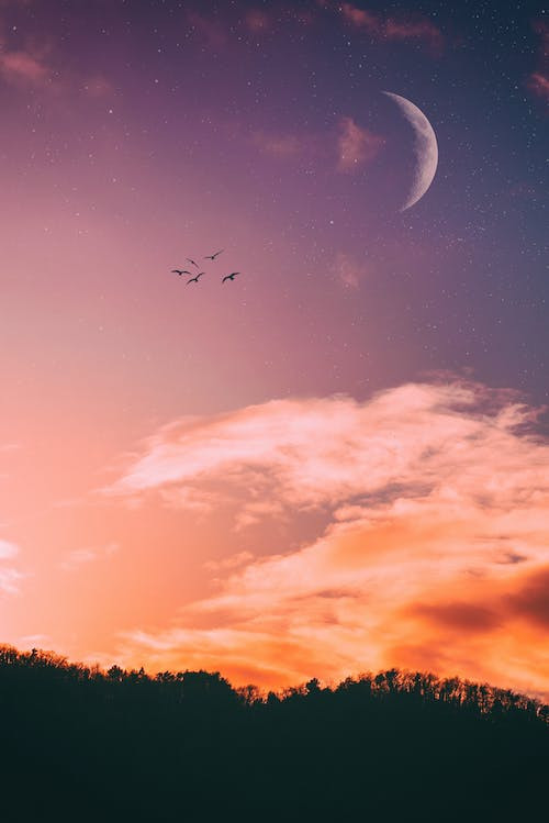 pexels photo 1921336.jpg