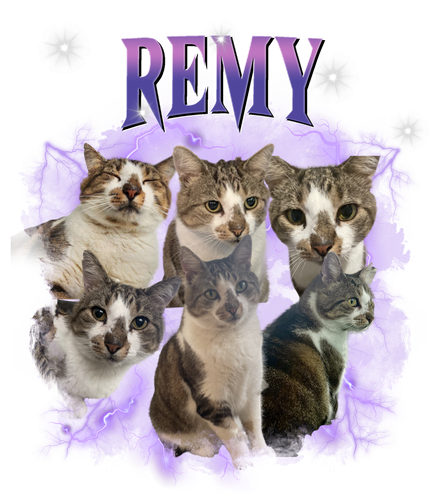 REMY.png