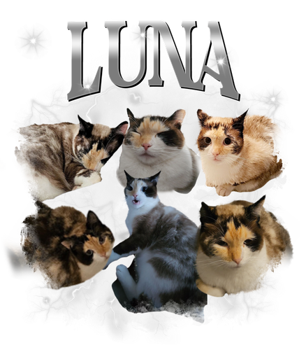 luna 8.png