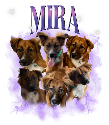 Mira 6.png