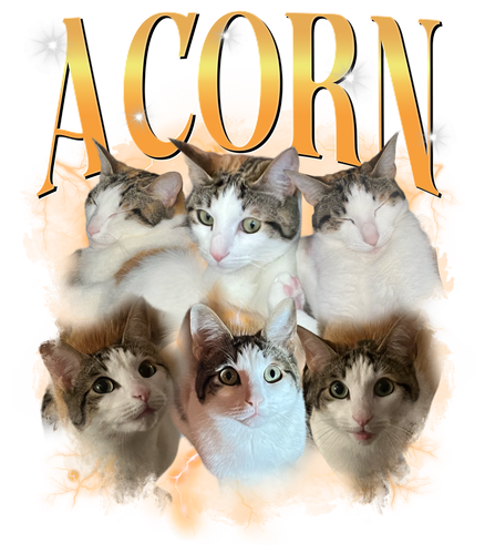 3136398122.png