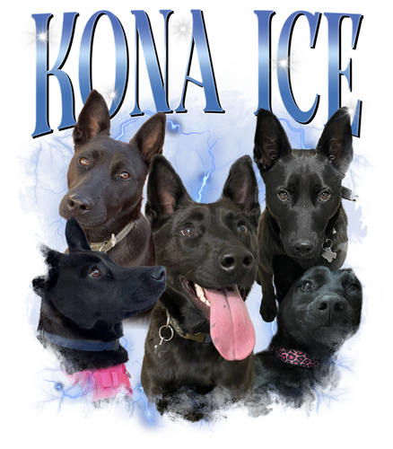 Kona Ice 3128046496.png