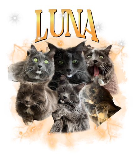 luna 3.png