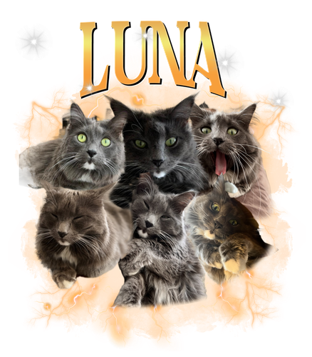 luna 3.png