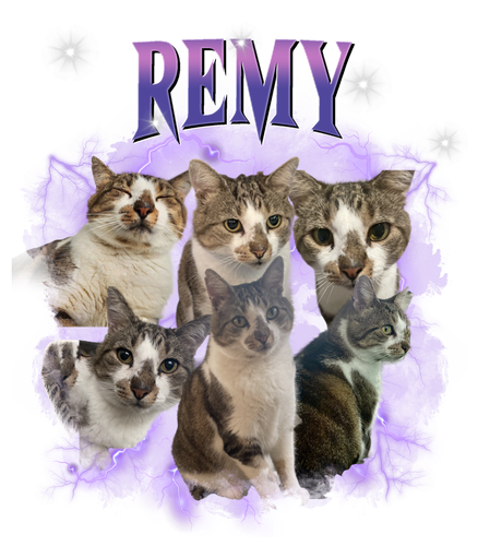 REMY.png