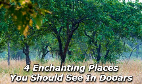 4 Enchanting Places You Should See in Dooars.jpg