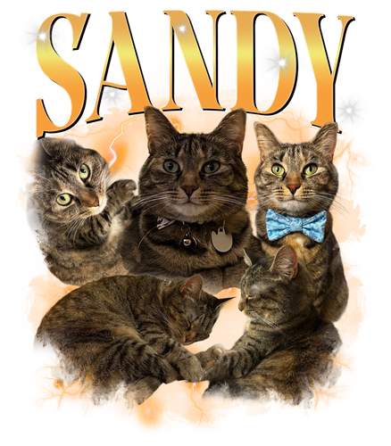 Sandy 3130676656.png